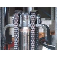 BL1246 Leaf Chain