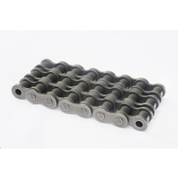 06B-3 Roller Chain Triplex