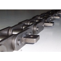SS131C Steel Bush Chain